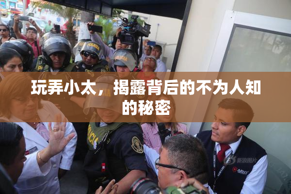 玩弄小太，揭露背后的不为人知的秘密