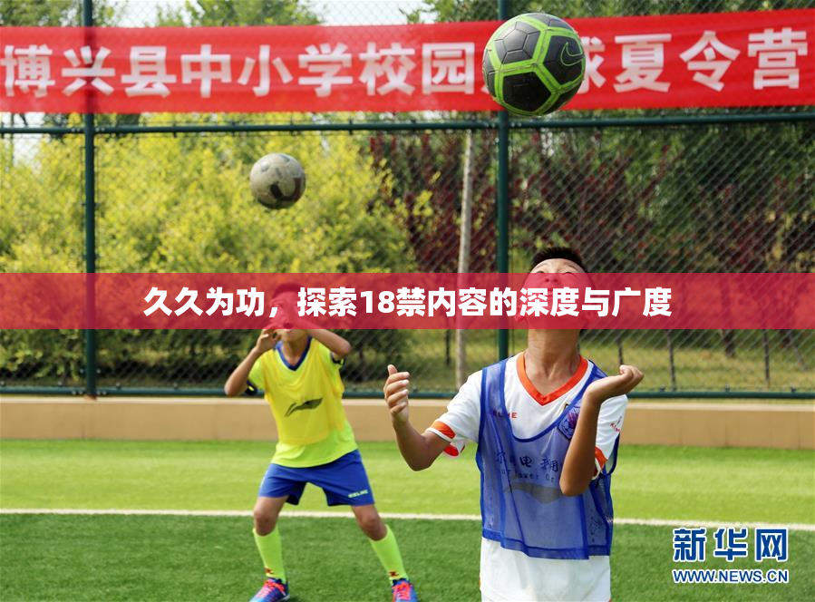 久久为功，探索18禁内容的深度与广度