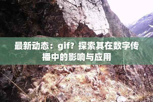 最新动态：gif？探索其在数字传播中的影响与应用