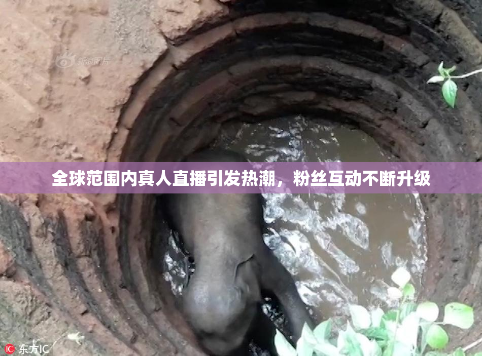 全球范围内真人直播引发热潮，粉丝互动不断升级