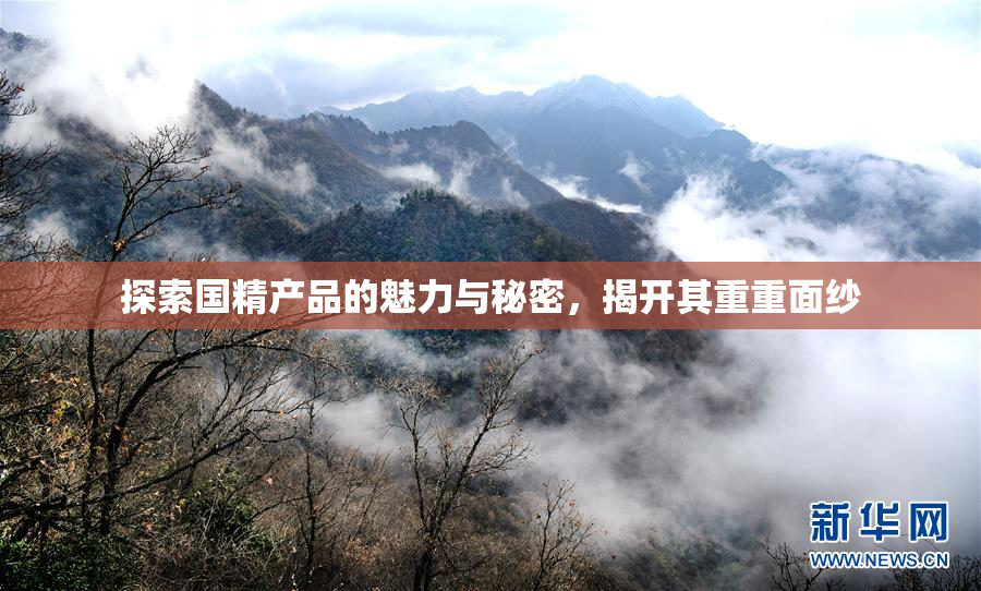 探索国精产品的魅力与秘密，揭开其重重面纱