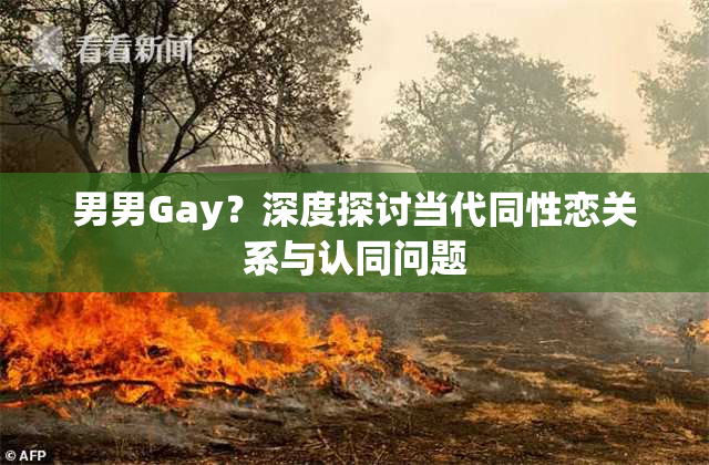 男男Gay？深度探讨当代同性恋关系与认同问题
