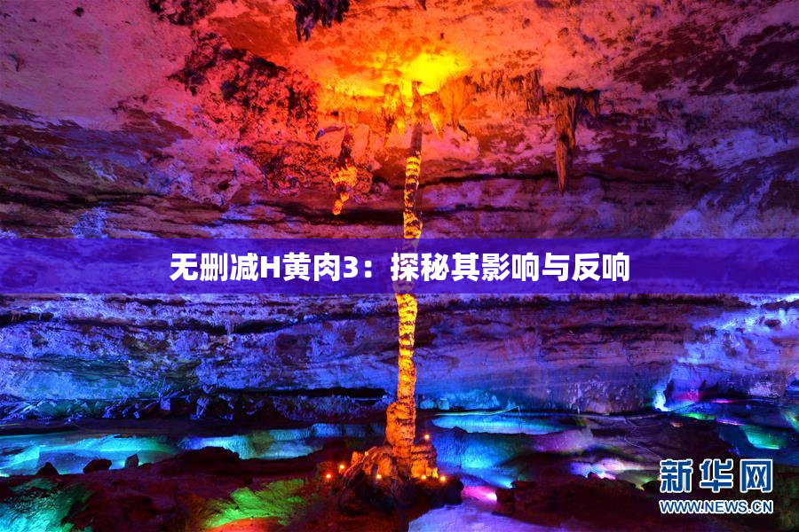 无删减H黄肉3：探秘其影响与反响
