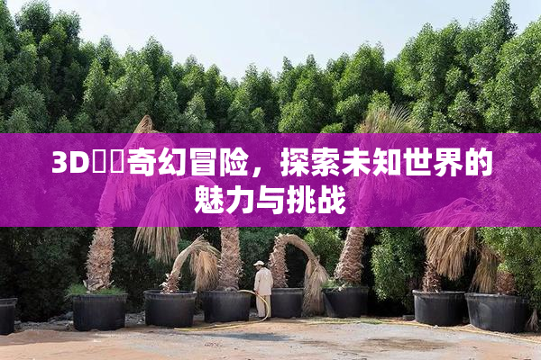 3D姉弚奇幻冒险，探索未知世界的魅力与挑战