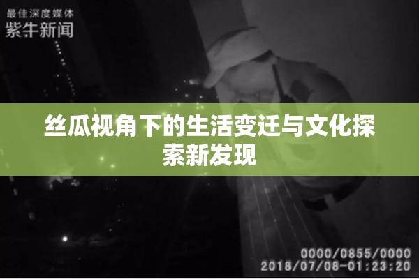 丝瓜视角下的生活变迁与文化探索新发现