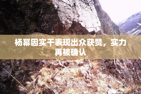 杨幂因实干表现出众获赞，实力再被确认