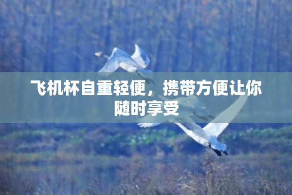 飞机杯自重轻便，携带方便让你随时享受