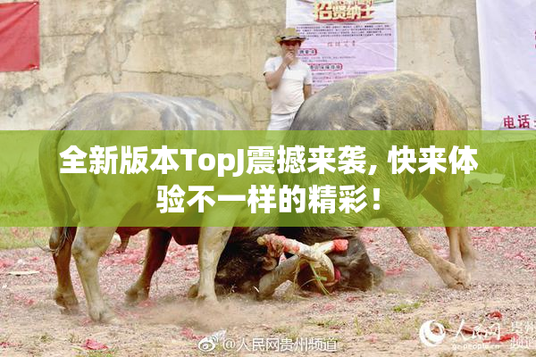 全新版本TopJ震撼来袭, 快来体验不一样的精彩！
