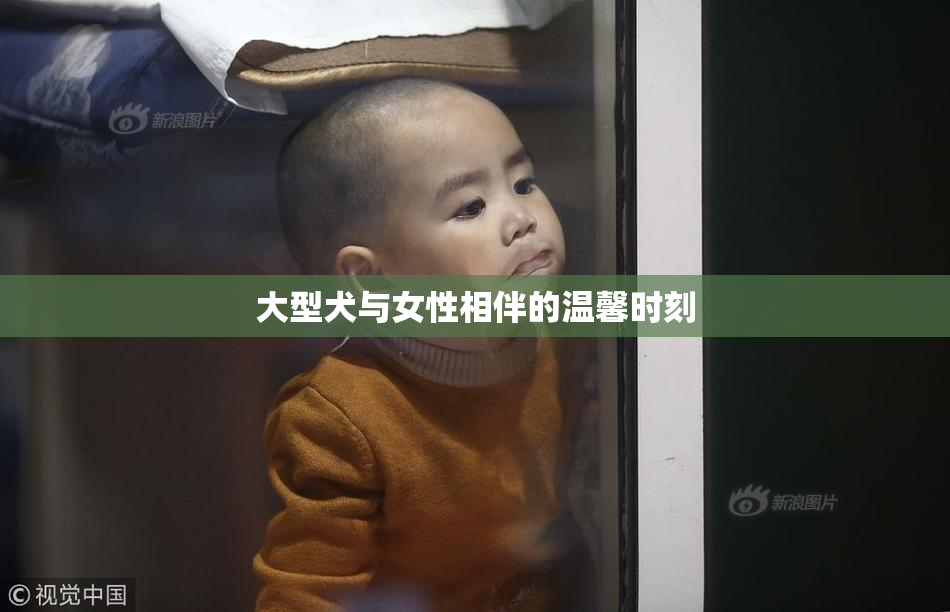 大型犬与女性相伴的温馨时刻