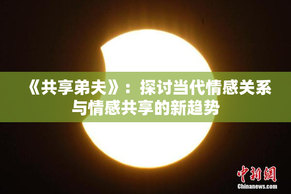 《共享弟夫》：探讨当代情感关系与情感共享的新趋势