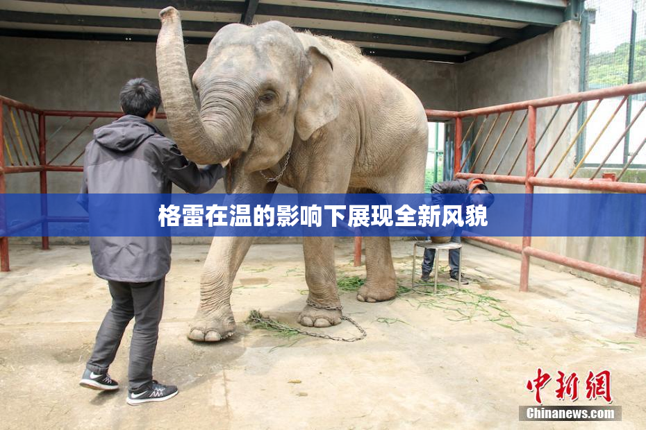 格雷在温的影响下展现全新风貌