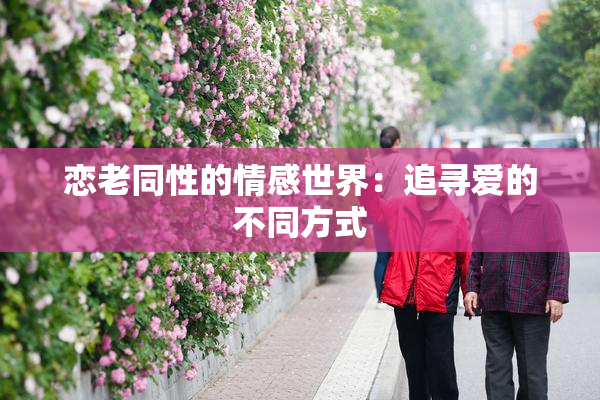 恋老同性的情感世界：追寻爱的不同方式