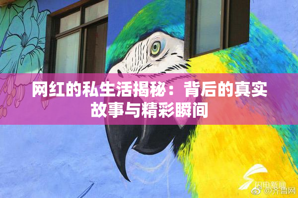 网红的私生活揭秘：背后的真实故事与精彩瞬间