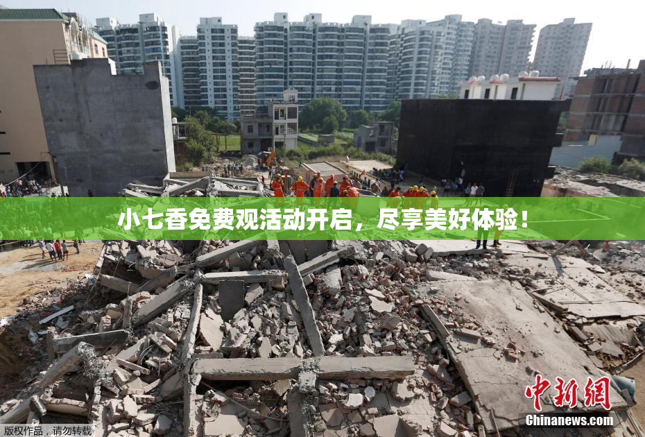 小七香免费观活动开启，尽享美好体验！