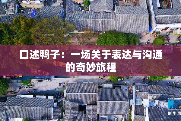 口述鸭子：一场关于表达与沟通的奇妙旅程