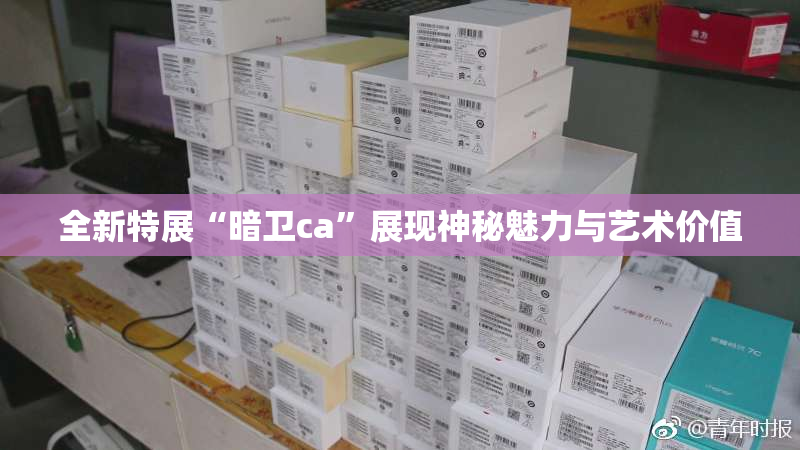 全新特展“暗卫ca”展现神秘魅力与艺术价值