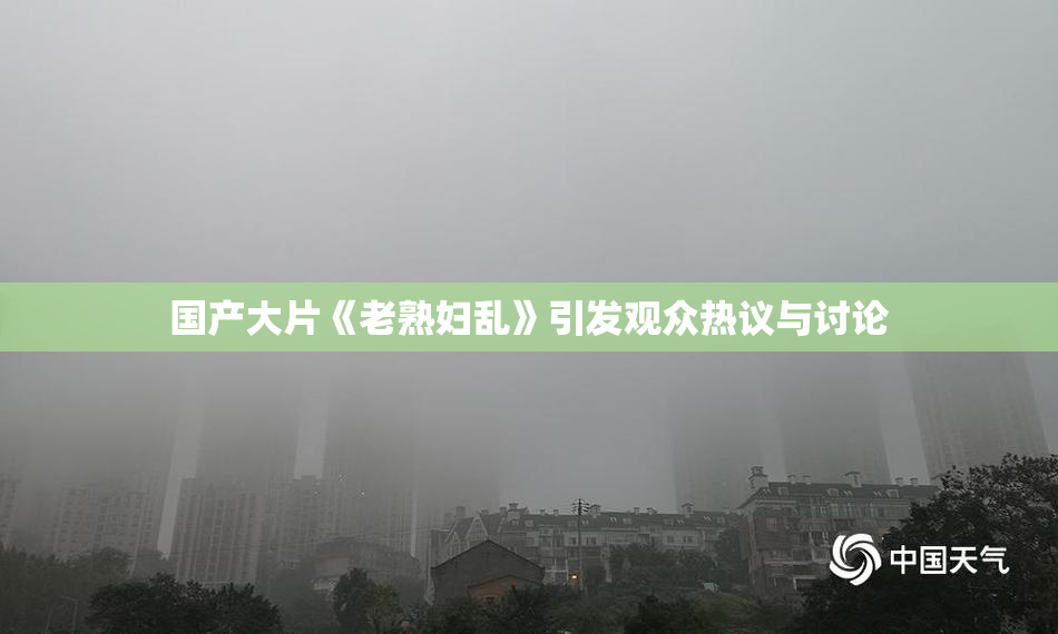 国产大片《老熟妇乱》引发观众热议与讨论