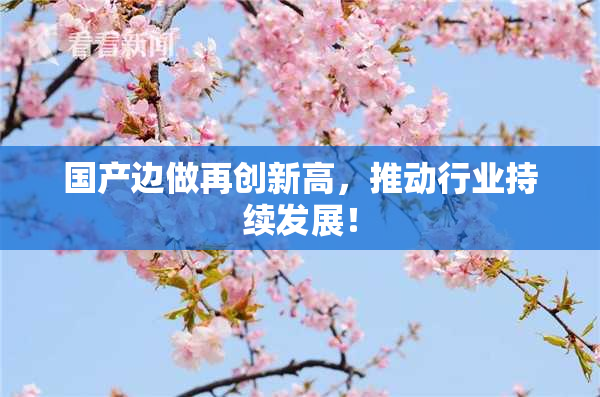 国产边做再创新高，推动行业持续发展！