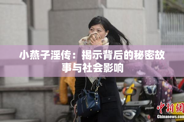 小燕子淫传：揭示背后的秘密故事与社会影响