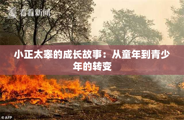 小正太睾的成长故事：从童年到青少年的转变