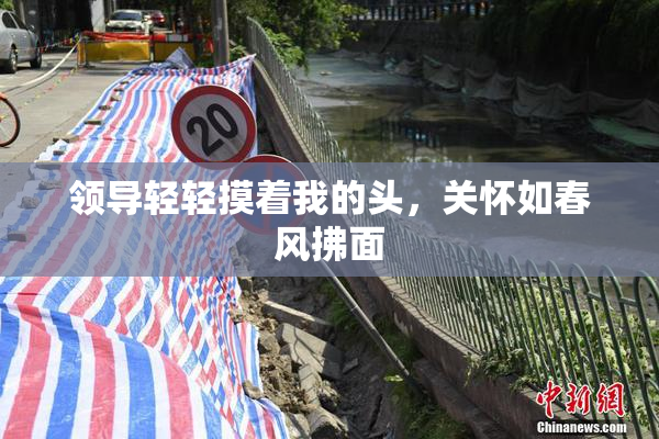 领导轻轻摸着我的头，关怀如春风拂面