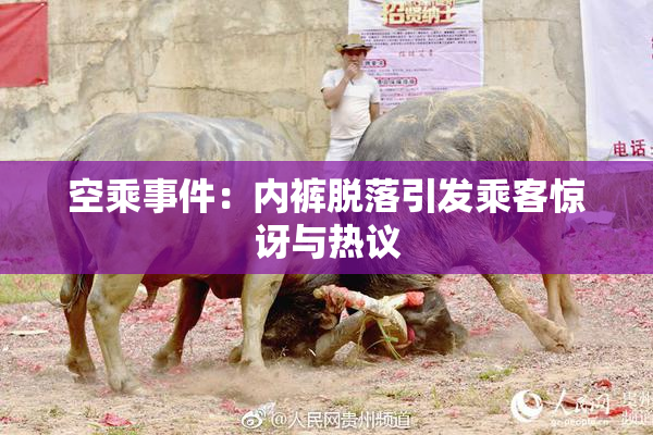 空乘事件：内裤脱落引发乘客惊讶与热议