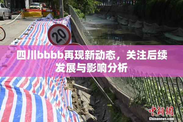 四川bbbb再现新动态，关注后续发展与影响分析