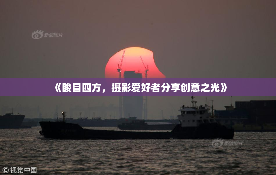 《睃目四方，摄影爱好者分享创意之光》