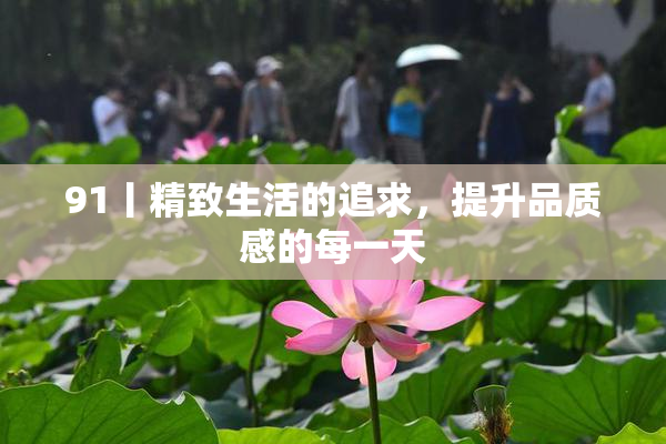91丨精致生活的追求，提升品质感的每一天
