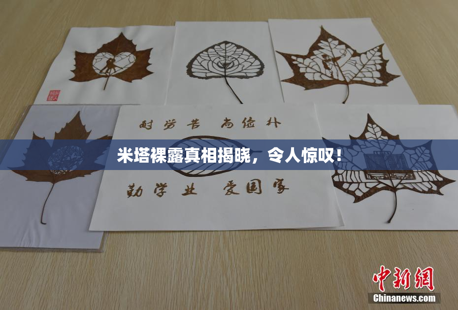 米塔裸露真相揭晓，令人惊叹！