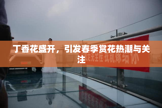 丁香花盛开，引发春季赏花热潮与关注