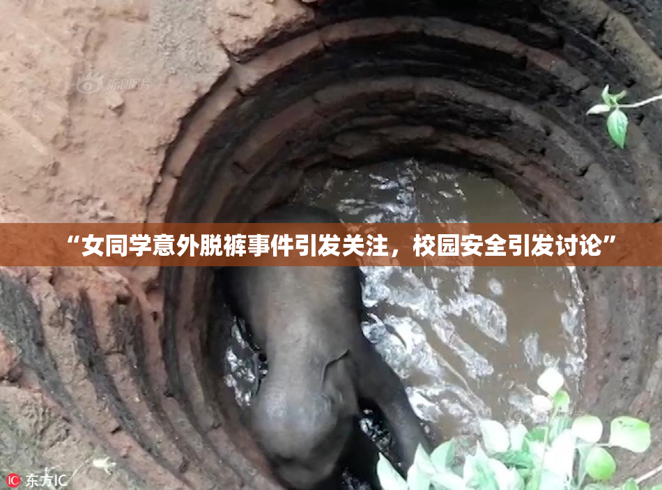 “女同学意外脱裤事件引发关注，校园安全引发讨论”