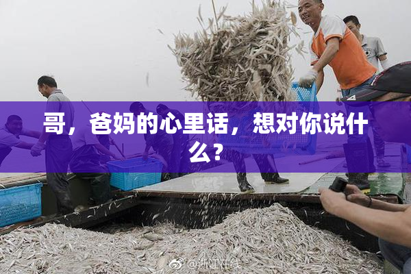 哥，爸妈的心里话，想对你说什么？