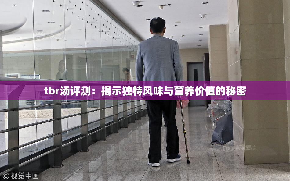tbr汤评测：揭示独特风味与营养价值的秘密