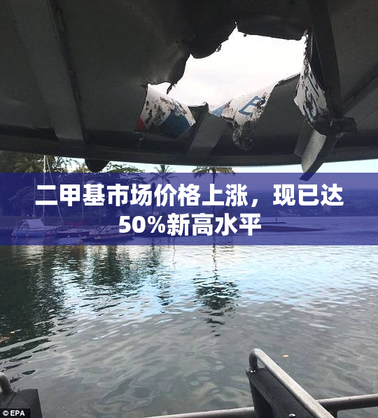 二甲基市场价格上涨，现已达50%新高水平