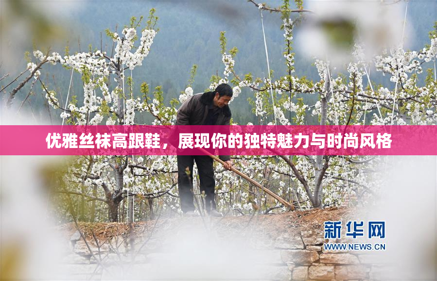 优雅丝袜高跟鞋，展现你的独特魅力与时尚风格