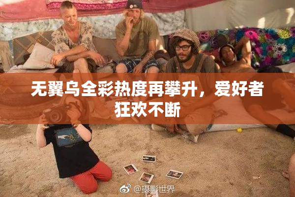 无翼乌全彩热度再攀升，爱好者狂欢不断