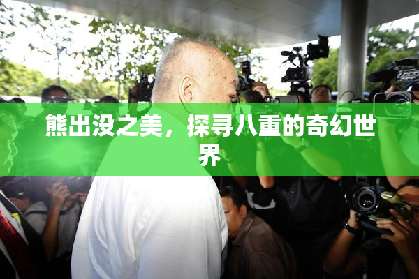 熊出没之美，探寻八重的奇幻世界