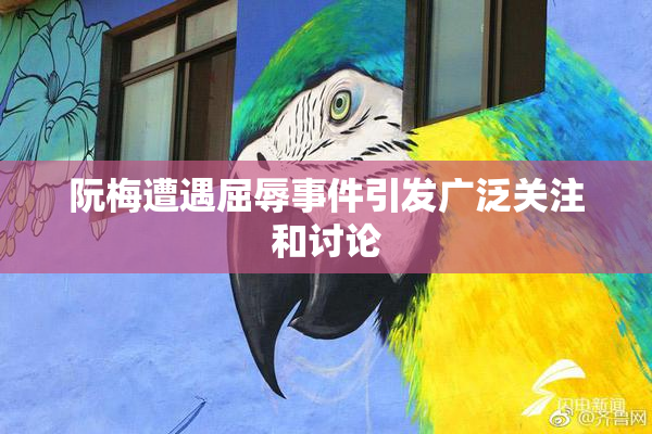 阮梅遭遇屈辱事件引发广泛关注和讨论