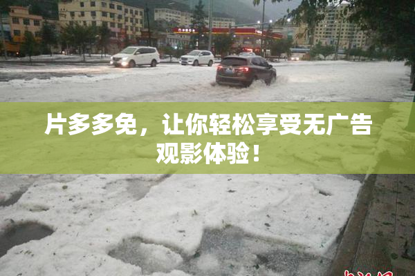 片多多免，让你轻松享受无广告观影体验！