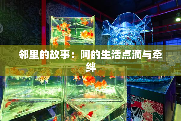 邻里的故事：阿的生活点滴与牵绊