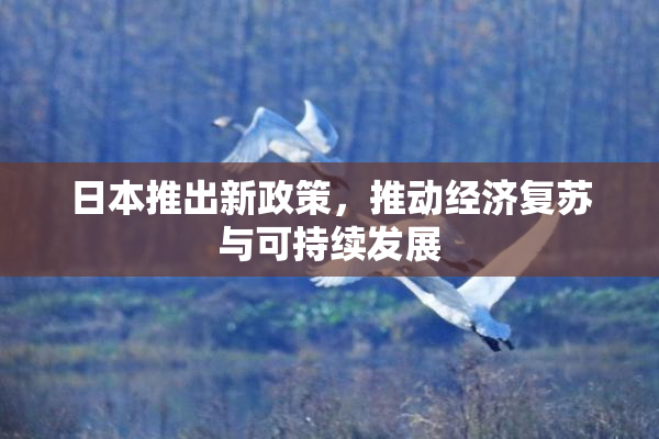 日本推出新政策，推动经济复苏与可持续发展