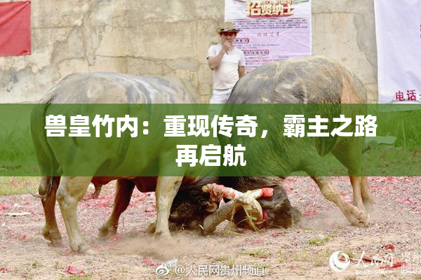 兽皇竹内：重现传奇，霸主之路再启航