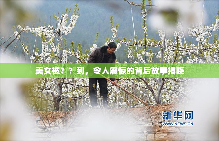 美女被？？到，令人震惊的背后故事揭晓