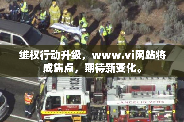 维权行动升级，www.vi网站将成焦点，期待新变化。