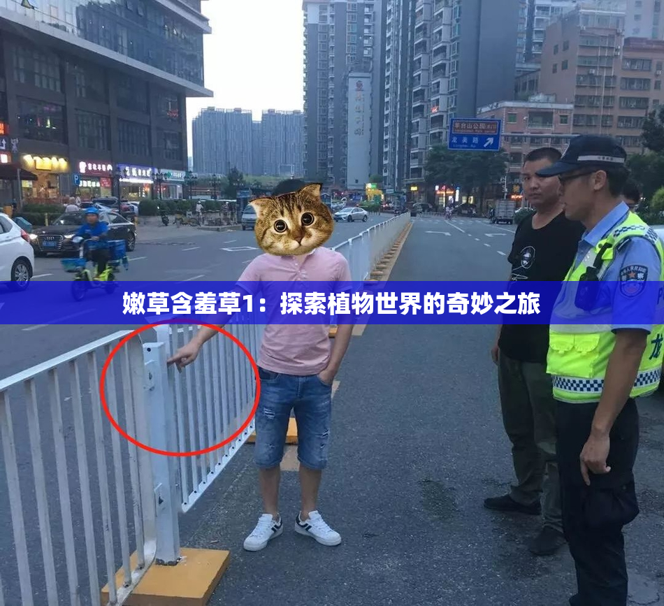 嫩草含羞草1：探索植物世界的奇妙之旅