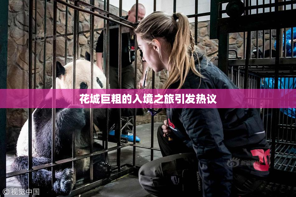 花城巨粗的入境之旅引发热议