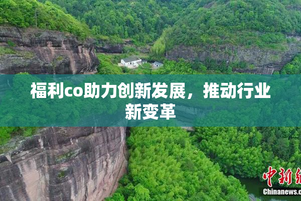 福利co助力创新发展，推动行业新变革