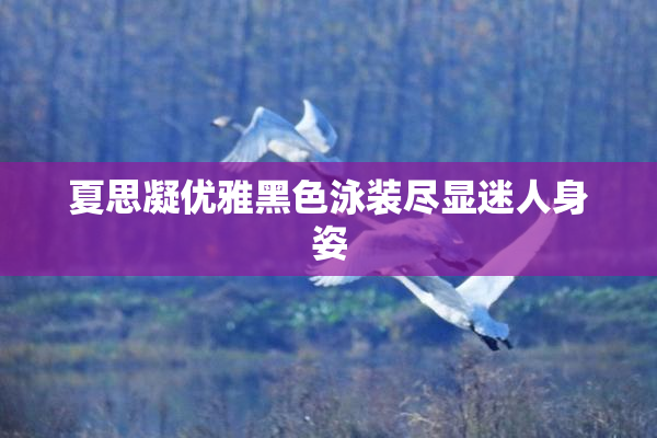 夏思凝优雅黑色泳装尽显迷人身姿