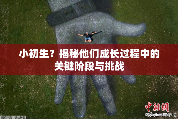 小初生？揭秘他们成长过程中的关键阶段与挑战